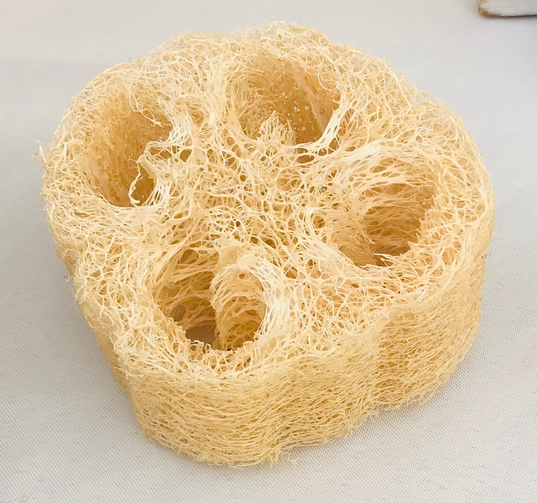 Luffa